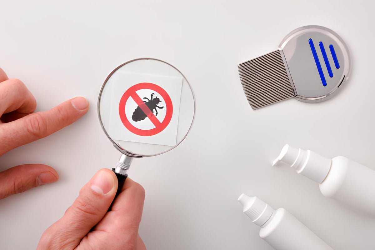 How to Keep Bugs Away from Outdoor Lighting? Cloudy Bay Lighting