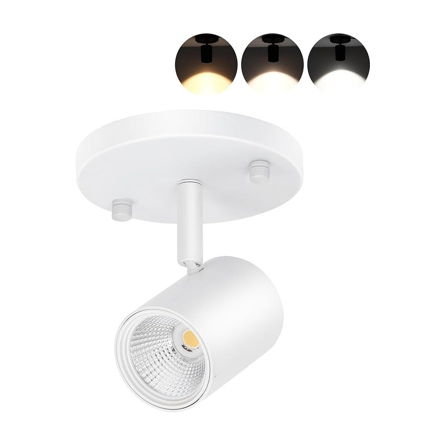 Cloudy Bay LED flush mount ceiling spot light in white - 3CCT selectable, tilt adjustable head