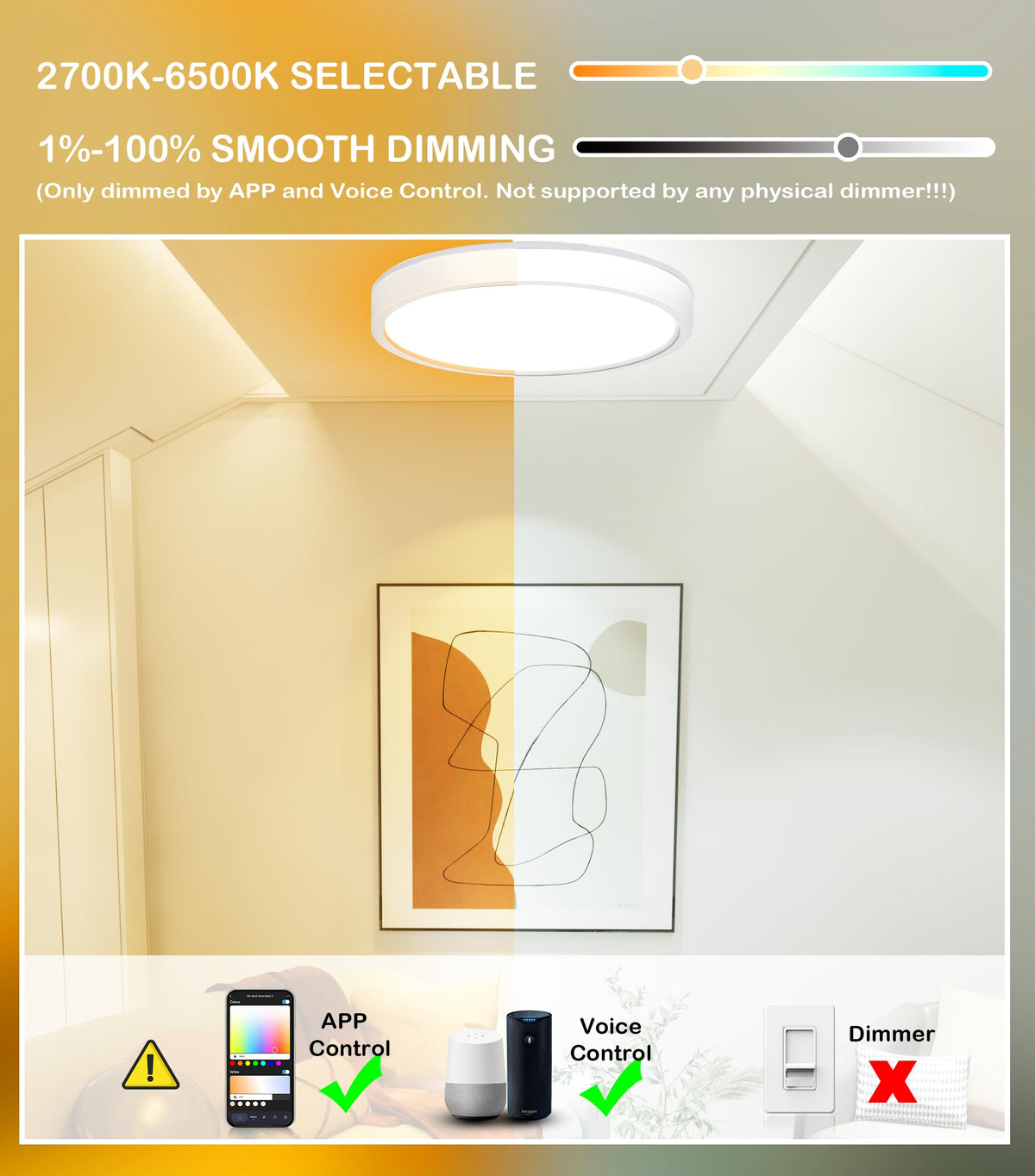App control screen with color wheel and CCT slider for adjusting RGB and white temperature