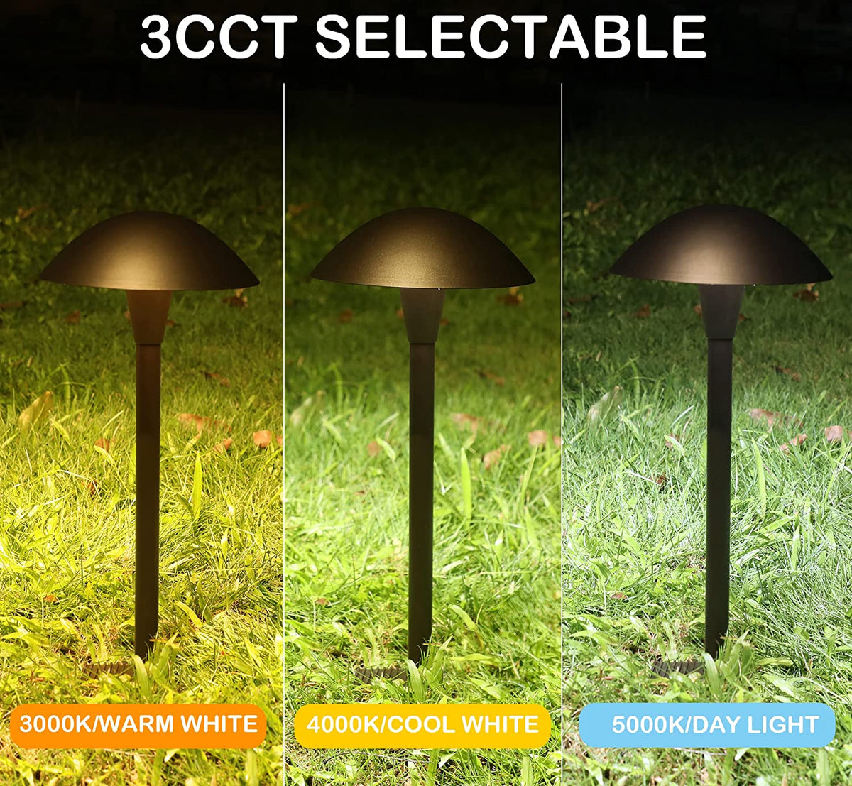 Selectable Landscape Pathway Light, Low Voltage Path Light CloudyBay