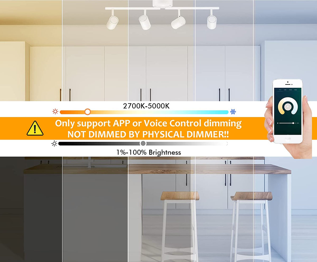 CloudyBay 4Light Smart WiFi LED Track Light Kit,RGBCW Color Changing