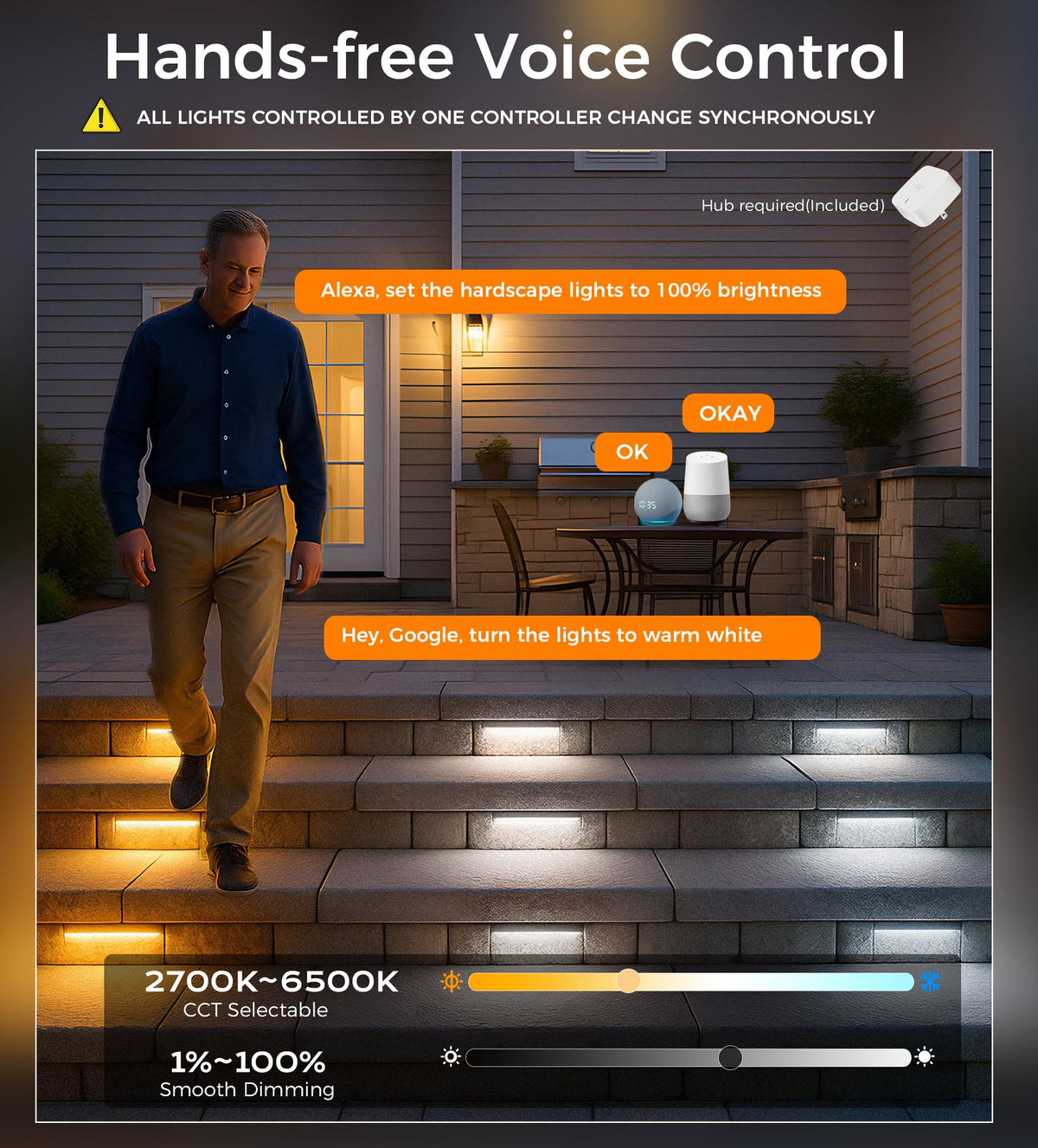 App control: color wheel, CCT and brightness sliders, scenes, schedules and music sync