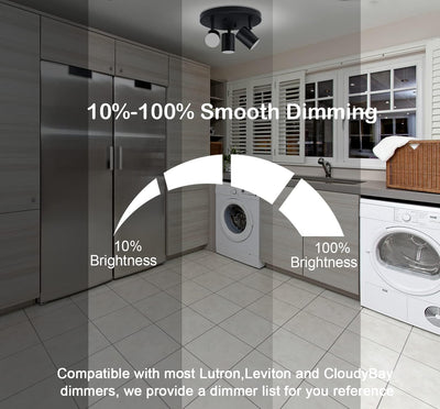 5CCT 3 Light Directional Ceiling Spotlight,Dimmable LED Track Light Heads,CRI90+,1800Lm for Hallway Kitchen Art, Black