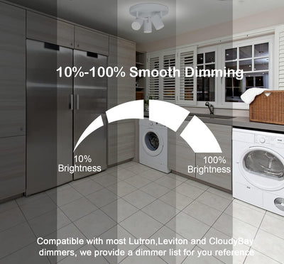 5CCT 3 Light Directional Ceiling Spotlight,Dimmable LED Track Light Heads,CRI90+,1800Lm for Hallway Kitchen Art, White