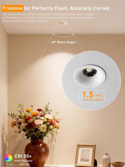 What's in the box: downlights, junction boxes, quick connectors, cutting template