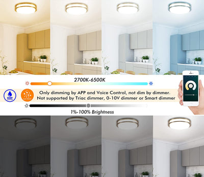 12 Inch LED Smart Flush Mount Ceiling Light, 20W 1200lm, RGBCCT, BN