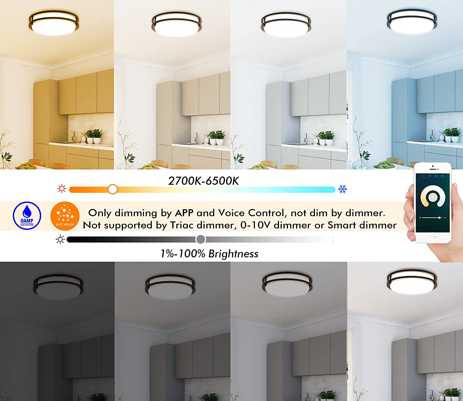 12 Inch LED Smart Flush Mount Ceiling Light,20W 2700K-6500K,4W RGB Color Compatible with Alexa and Google Home Assistant