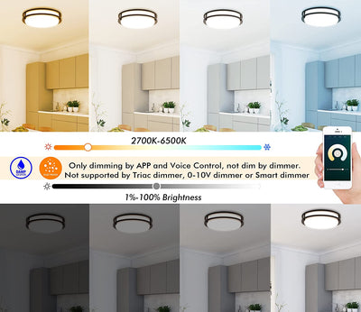 12 Inch LED Smart Flush Mount Ceiling Light, 20W 1200lm, RGBCCT, ORB